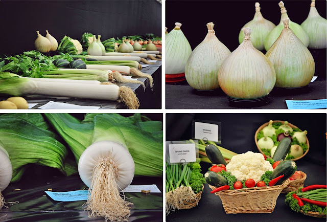 giant vegetables bakewell show