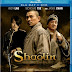 Shaolin 2011 Hindi Dual Audio BRRip 480p 400mb