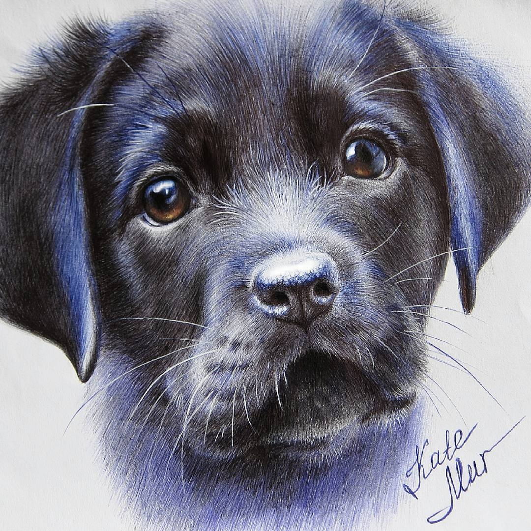 Realistic Cute Puppy Sketch