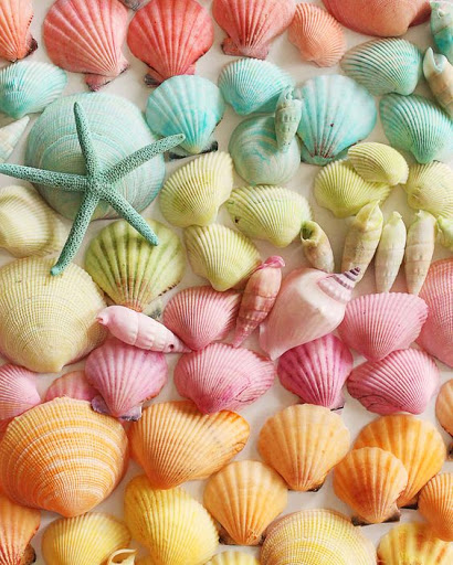 How to Dye Seashells