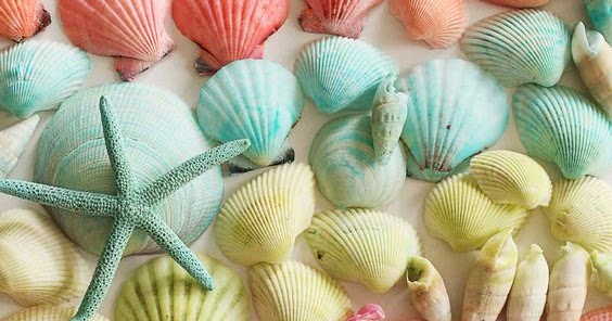 Assorted Colors Dyed Sea Shell Dyed Seashells Nassa Dove Shells Crafts Parties 