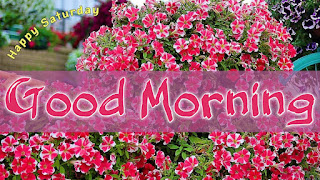 good morning good morning