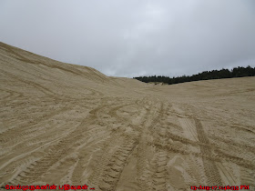 Siuslaw National Forest Sand Dunes