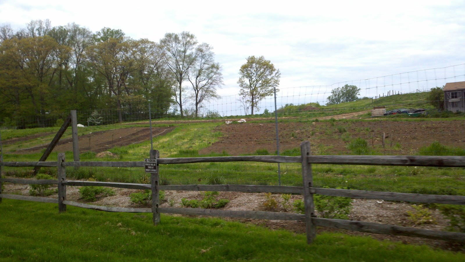 Firing Up the Synapses Blue Hill Farm