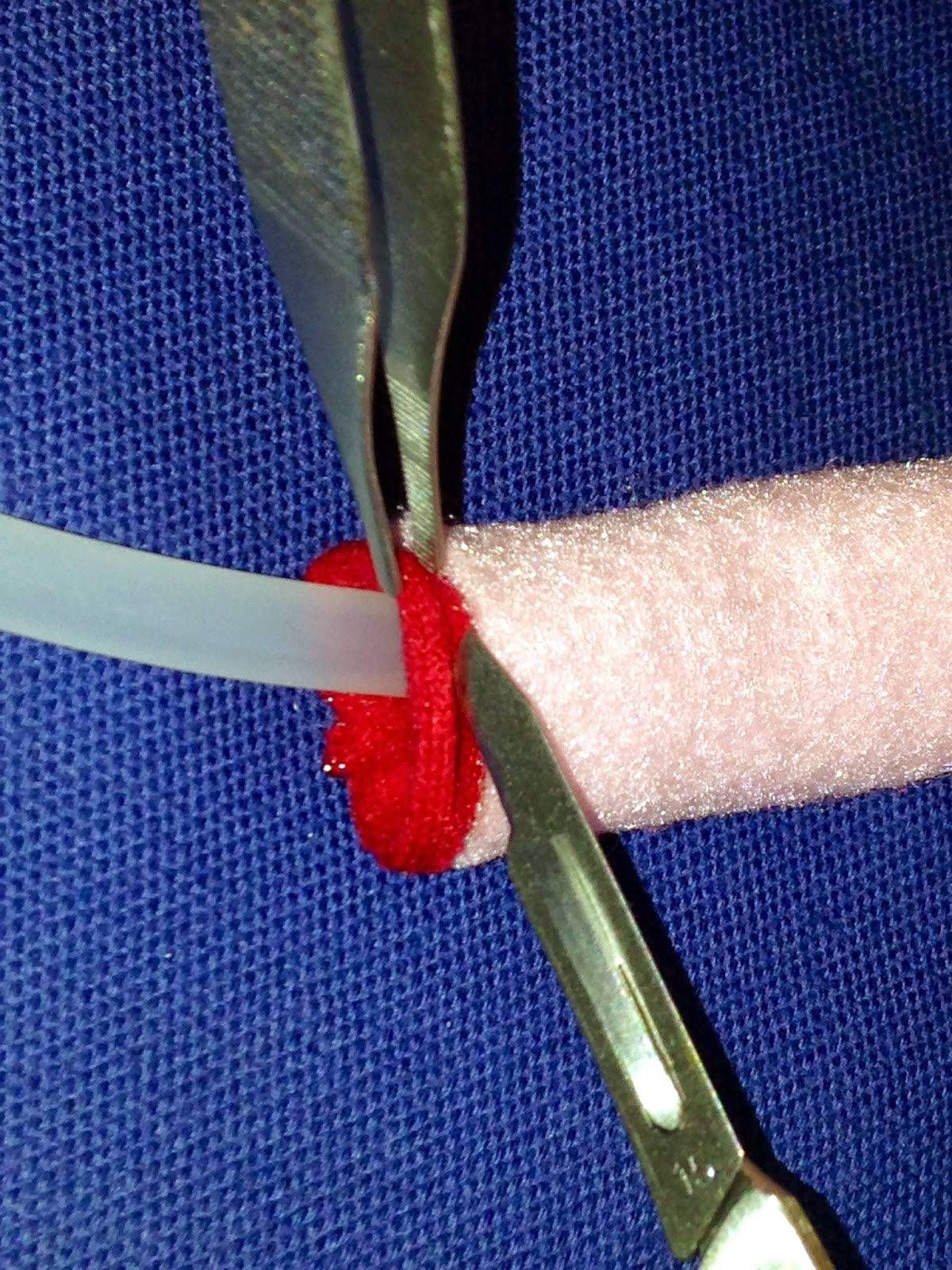 Veterinary Key Points Urethral Prolapse in Dogs Why it happens and