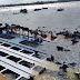 BRASIL / Navio com 5 mil cabeças de gado naufraga em porto do Pará; veja vídeo