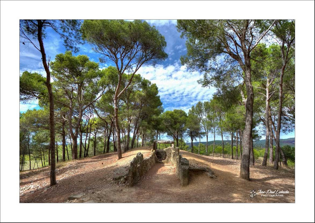 un dolmen à couloir sur un tumulus sous les pins et le ciel bleu