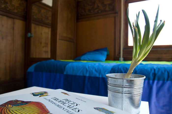 Airbnb. Mi experiencia y consejos cómo anfitrión