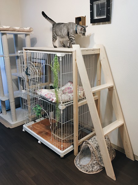 完成品?