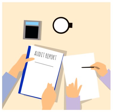 QC Audit Report