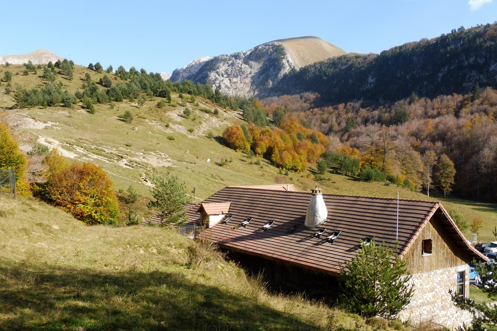 rocayflor: Paquiza de Linzola desde Linza