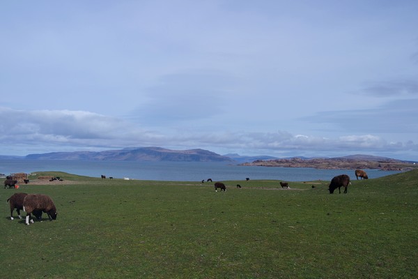 écosse highlands île mull iona