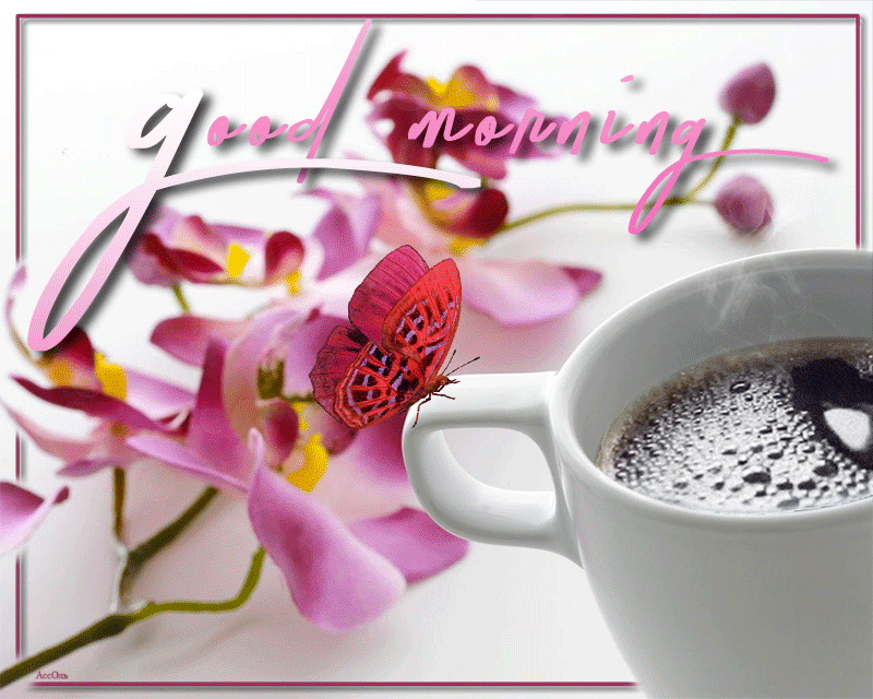Good%2BMorning.gif