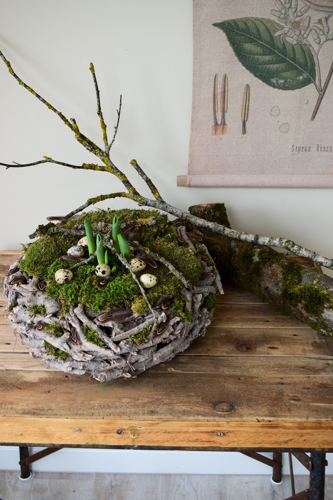 Noch Mehr Frühling Einfach Selber Machen Eclectic Hamilton Frühlingsdeko Basteln Mit Moos Wachteleier Und Holzkranz Deko Frühling Einfach Selber Machen Diy Ostern
