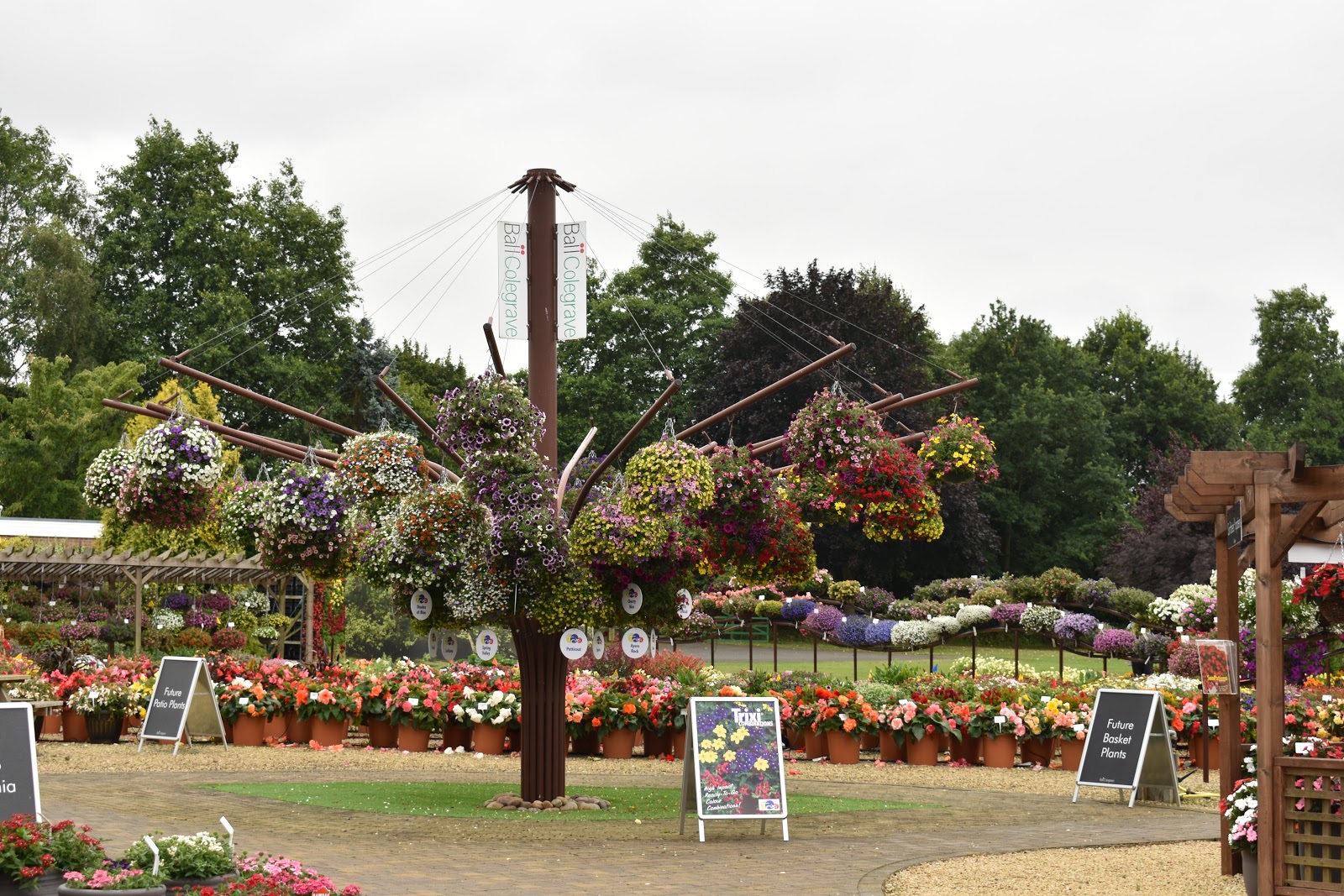 A visit to the Ball Colegrave Trial Grounds