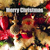 Kerst bureaublad achtergrond met kerstboom