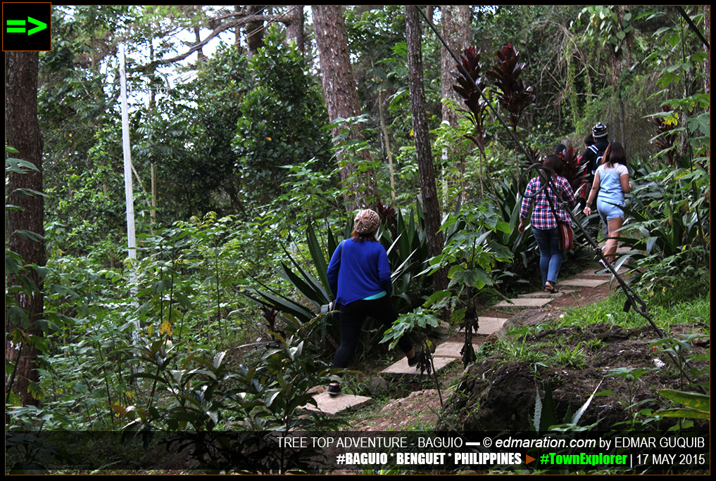 BAGUIO TREE TOP ADVENTURE