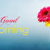 Top 10 good morning Images, Greetings, Pictures for whatsapp - bestwishespics