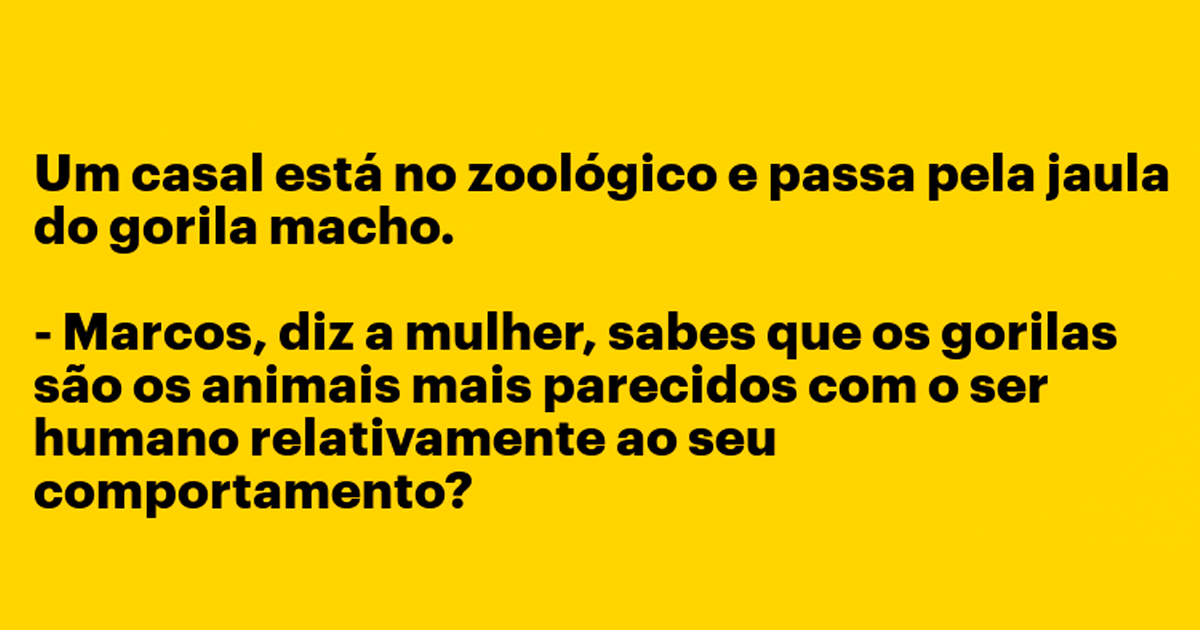 Mostrar as 'marufas' ao gorila Mostrar as 'marufas' ao gorila