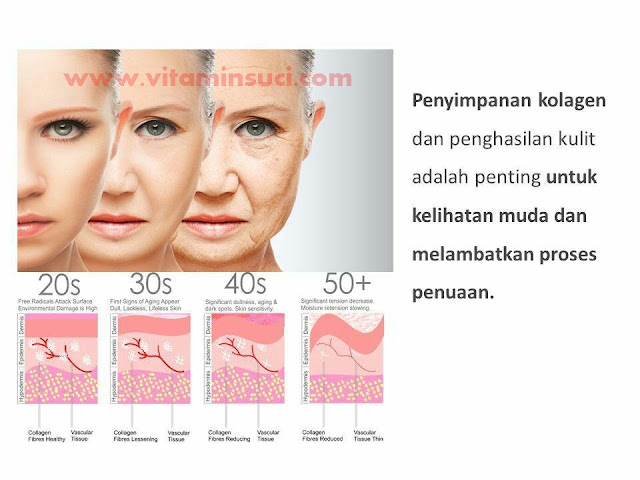 cara agar awet muda dan cantik cara agar awet muda dan cantik