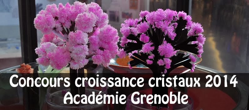 Concours croissance cristaux 2014 - Académie Grenoble