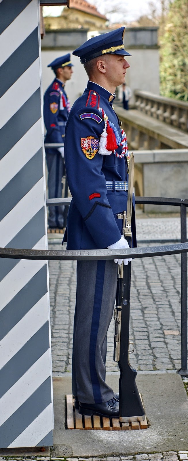 Picture of a sentinel guard.