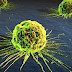 Consiguen frenar el cáncer activando su "genoma oscuro"