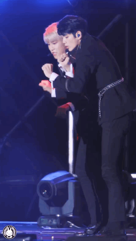 SpectacularCooperativeCrane-size_restric