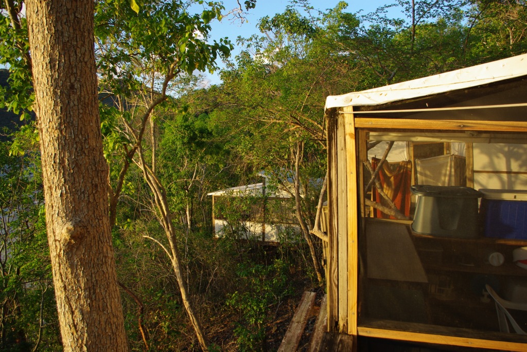 The BVIs Basset's View of the Islands Maho Bay Camps