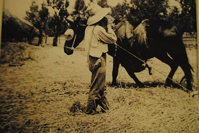 Llorenç Salom i Ferrer Calanxo batent a l'era l'any 1932 a Santa Maria del Camí Llorenç Salom i Ferrer Calanxo batent a l'era l'any 1932 a Santa Maria del Camí