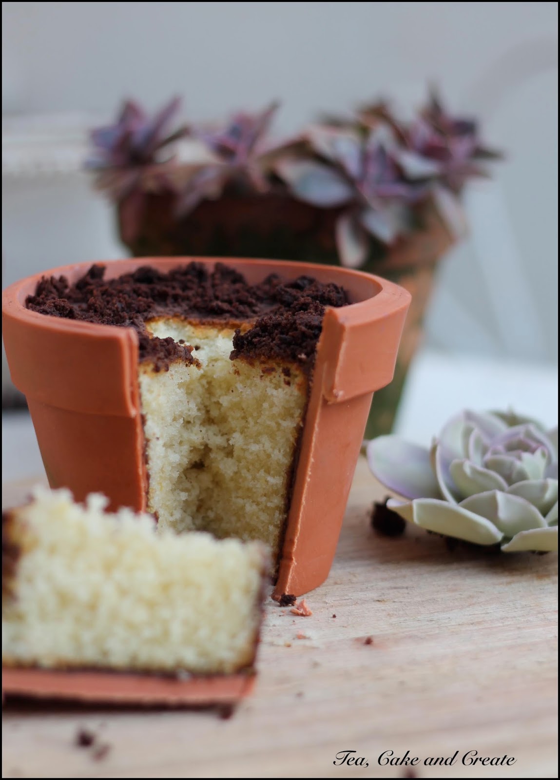 Tea, Cake & Create Terracotta Pot Plant and Succulent Cake