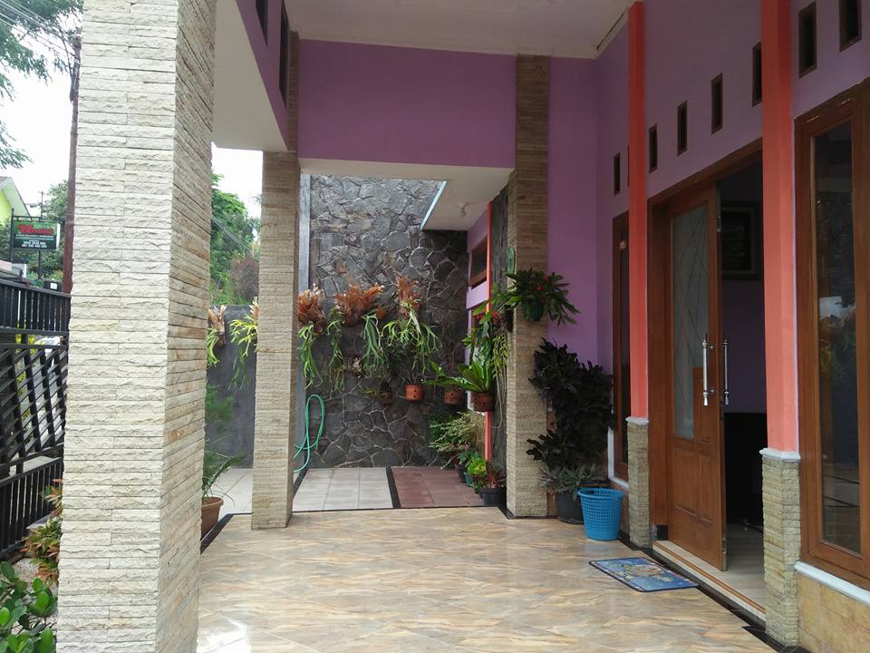 Sewa Homestay Penginapan Villa Paket Tour Gunung sewa homestay penginapan villa paket tour gunung