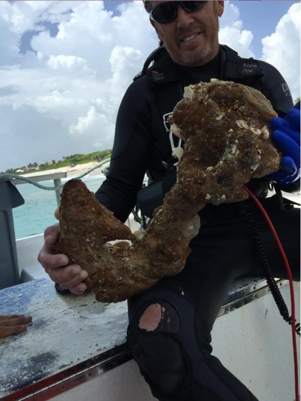 The Treasure Beaches Report Direct From Florida's Treasure Coast. 7/8