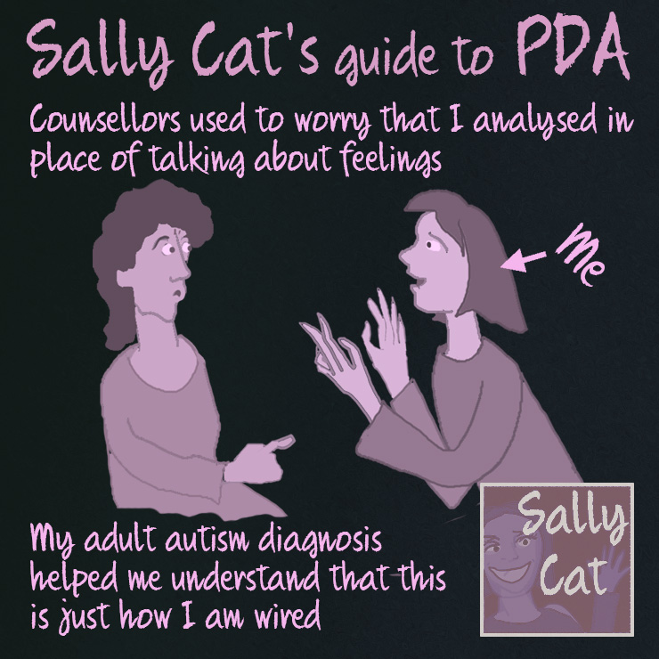 Sally Cat PDA PDA Strategies and Person Centred Counselling