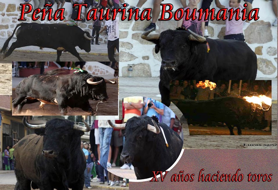 PEÑA TAURINA BOUMANIA