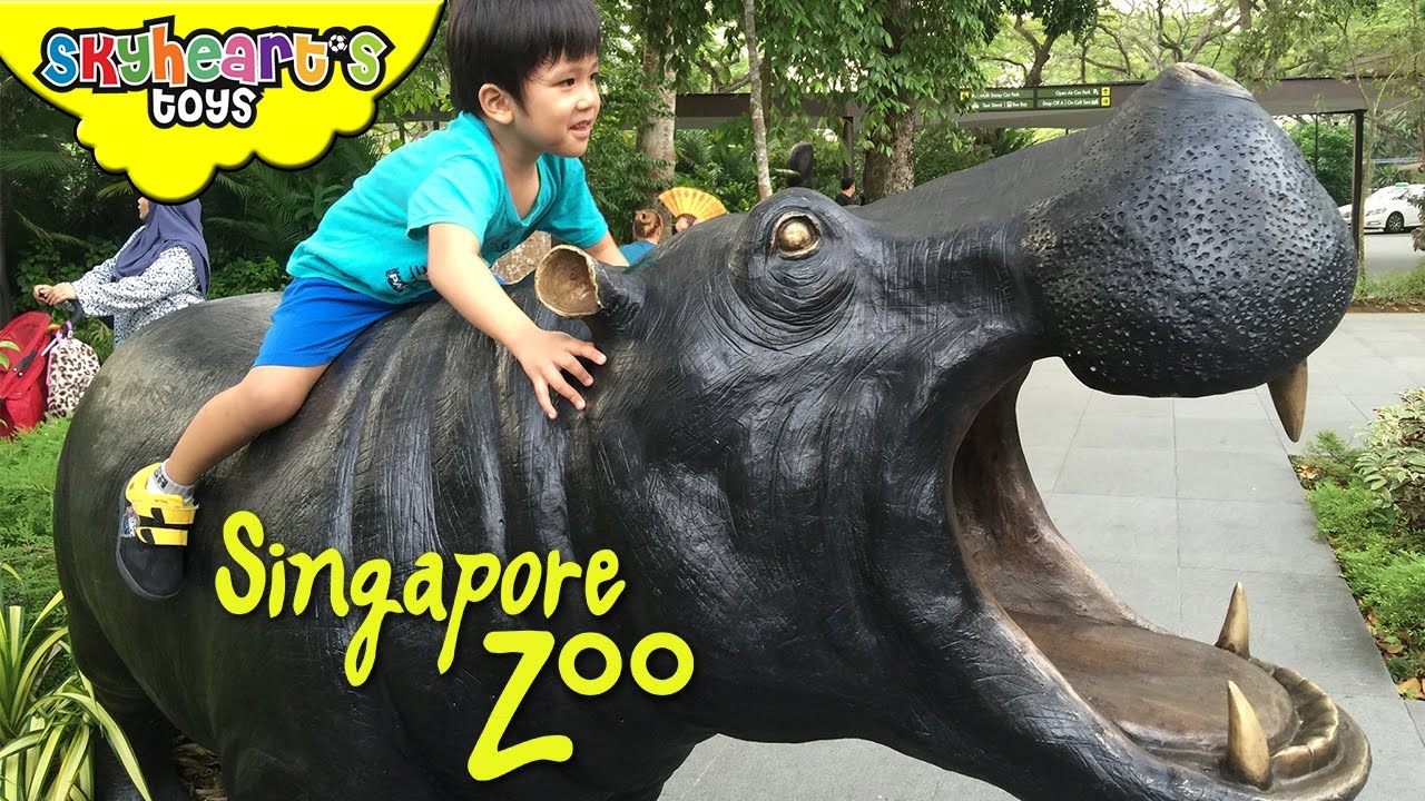 Safari Adventure in SINGAPORE ZOO , River Safari and SEA Aquarium