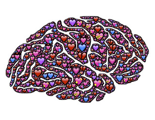 Es en el cerebro donde se producen las emociones y los sentimientos; el corazón siente ni piensa.