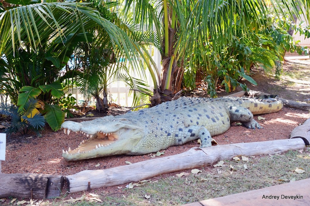 Ленива Ящерица (BP & Wild Bean Café Lazy Lizard Tavern and Caravan Park)