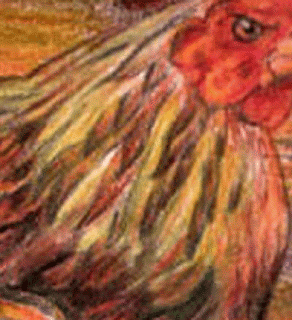 Detil bagian bulu leher ayam Gambar Detil bagian bulu leher ayam sebagai Cara Sketsa Flora dan Fauna Dengan Mudah