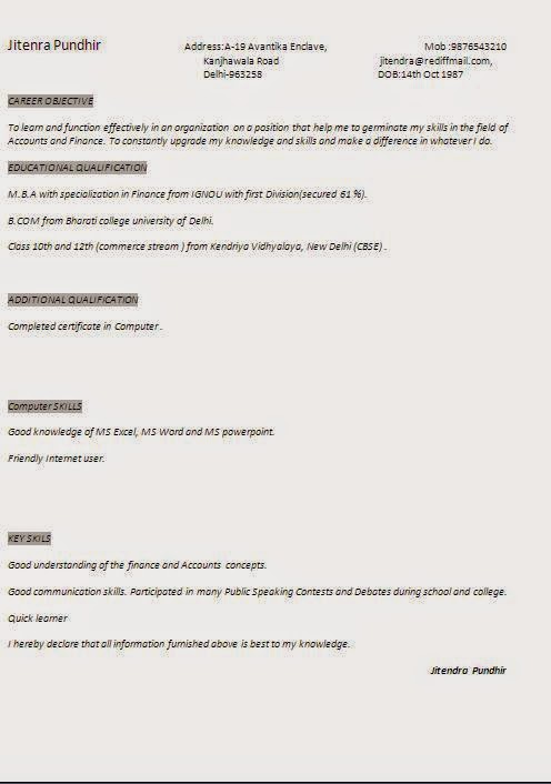 example resume summary