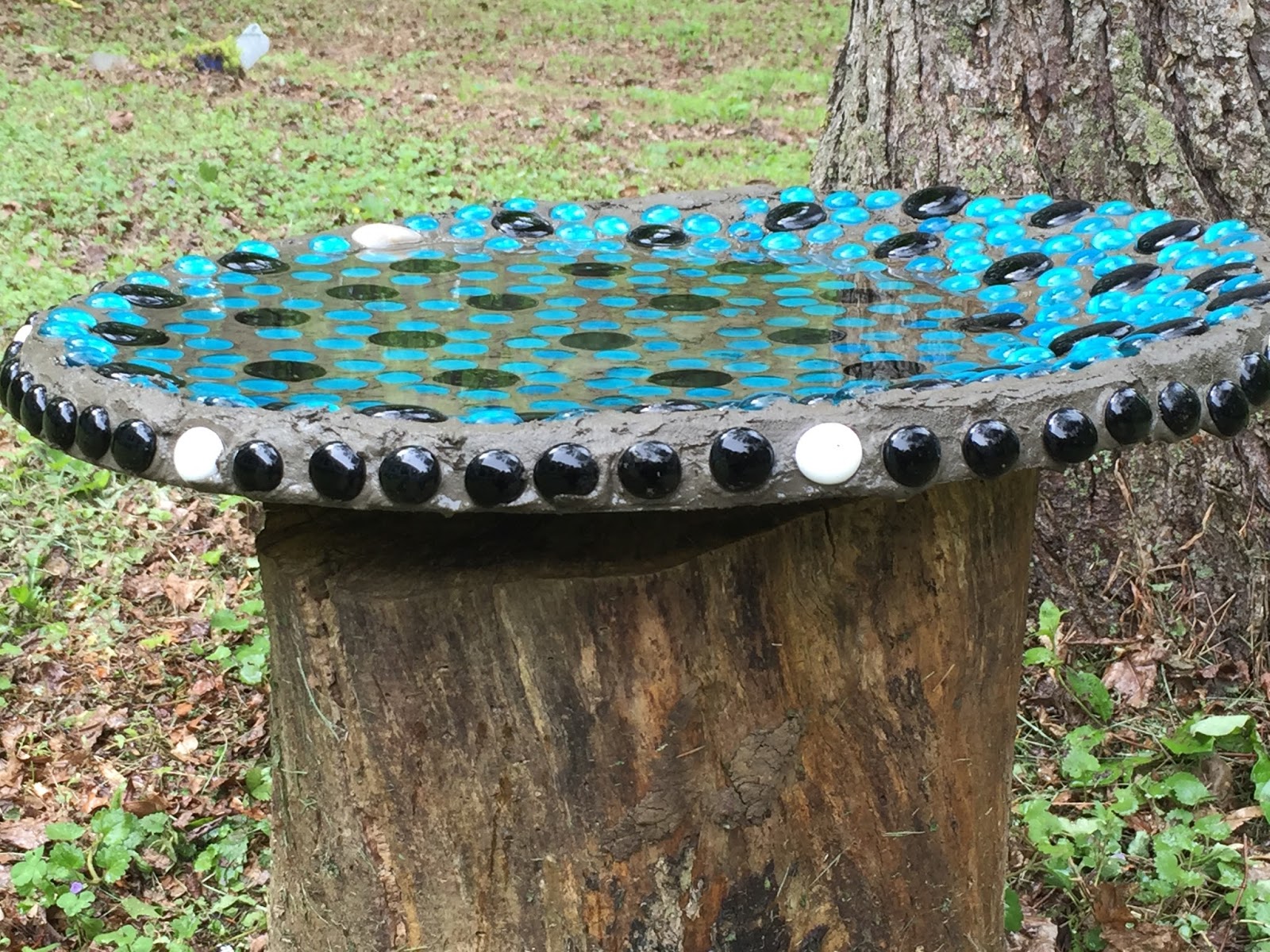 Monsoon Rains Old Satellite Dish = New Bird Bath