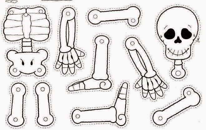 como armar el cuerpo humano