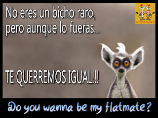 Do you wanna be my flatmate?