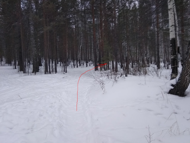 Разметка трассы трейла "Дегтярские воробьи"