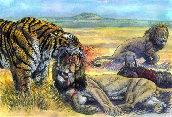 tiger vs lion fight