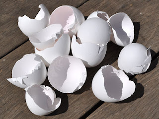 Ande ke chhilke Ande ke chhilke ke fayde. Benefits of Egg shell in Hindi/Urdu.