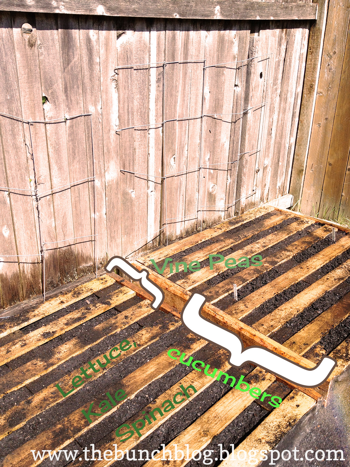 the bunch- handcrafted.stylishly: DIY Pallet Veggie Garden- Free
