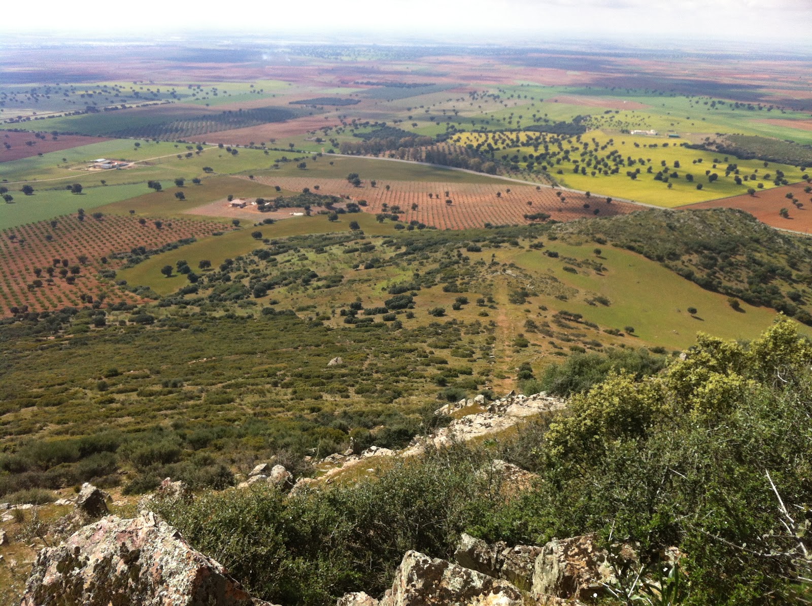 CorriendoporelCampo De Fuente el Fresno hacia