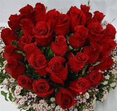 rosas_icm.jpg