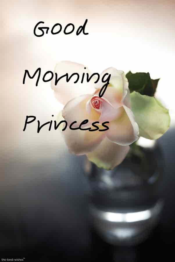 pics-of-good-morning-princess pics of good morning princess